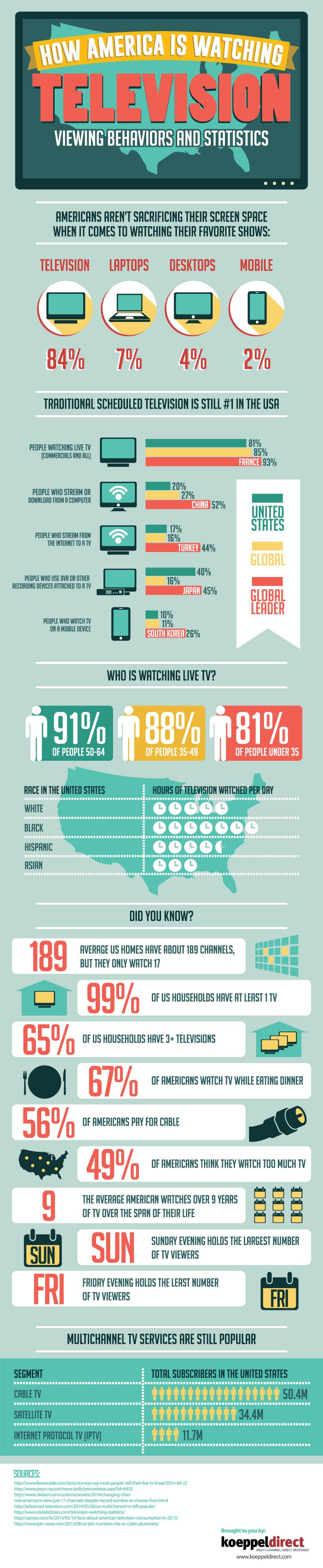 How America is Watching Television infographic