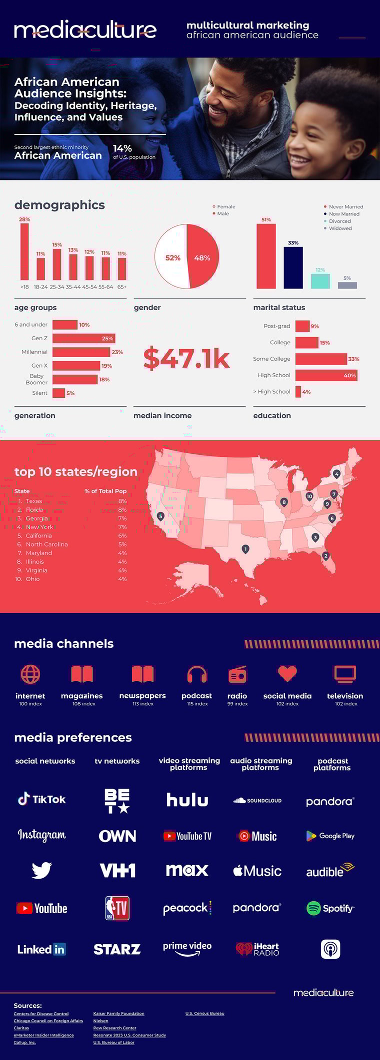 media-culture_multicultural-campaign_african-american_infographic