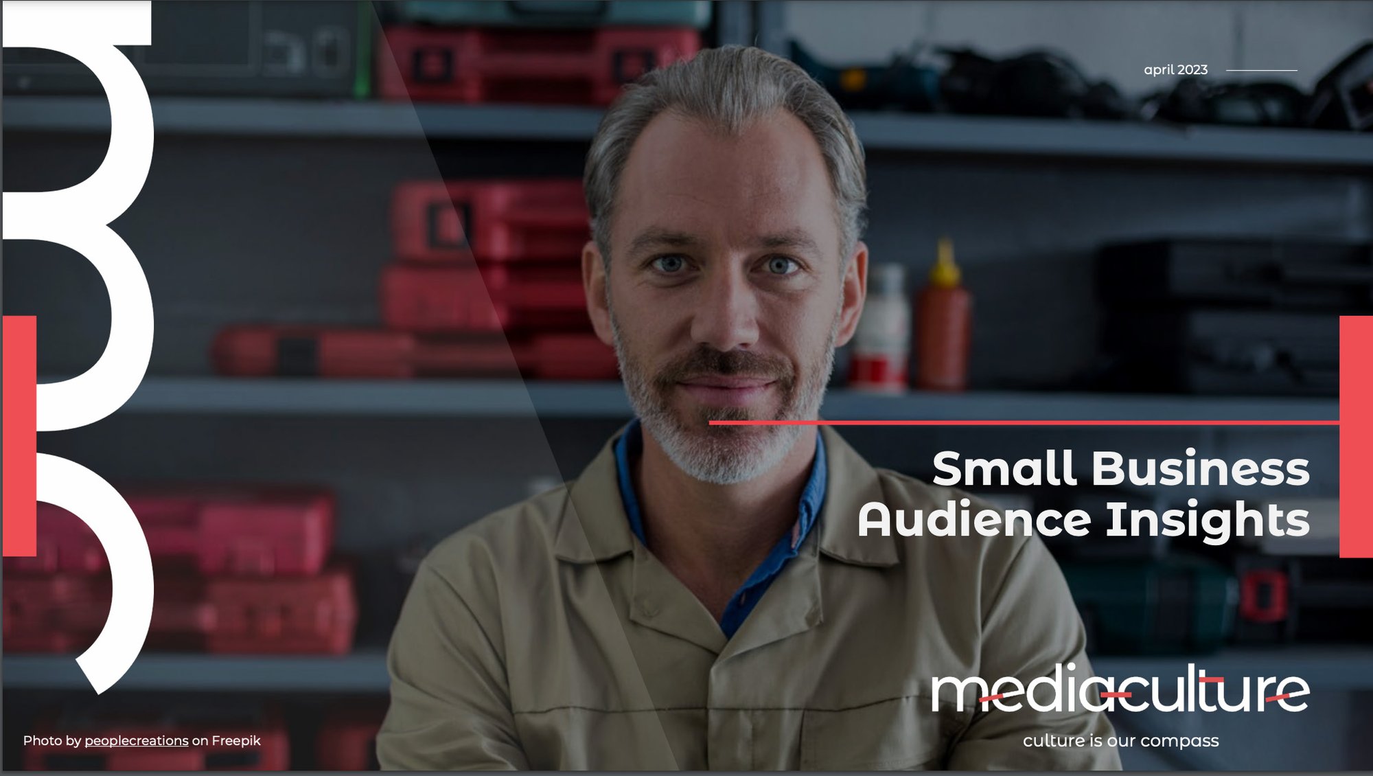Small Business Audience Insights